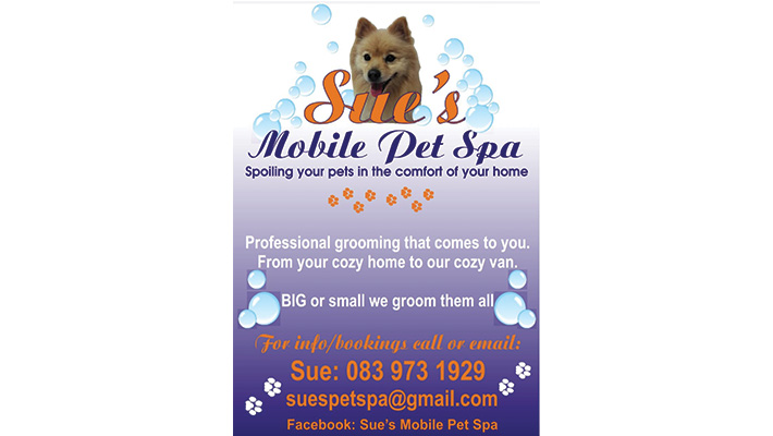PawfessionalSpa-Gallery PawfessionalSpa Gallery