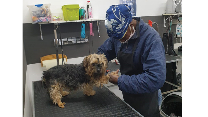 PawfessionalSpa-Gallery6 PawfessionalSpa Gallery6