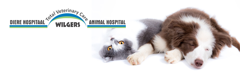 WILGERS ANIMAL HOSPITAL WILGERS ANIMAL HOSPITAL