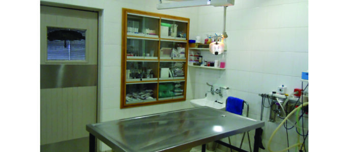 SandownVetClinic_SandtonRosebank1 SANDOWN VET CLINIC
