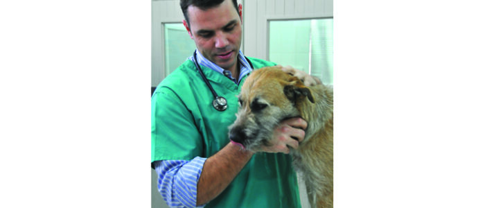 SandownVetClinic_SandtonRosebank2 SANDOWN VET CLINIC