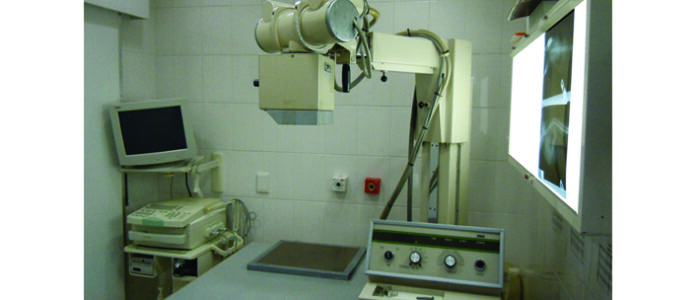 SandownVetClinic_SandtonRosebank4 SANDOWN VET CLINIC