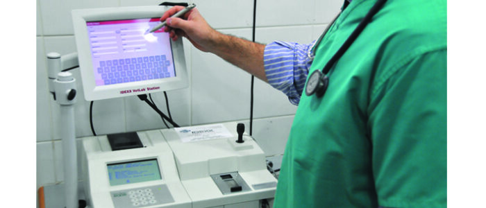 SandownVetClinic_SandtonRosebank5 SANDOWN VET CLINIC