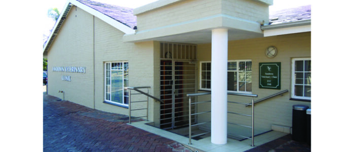 SandownVetClinic_SandtonRosebank6 SANDOWN VET CLINIC