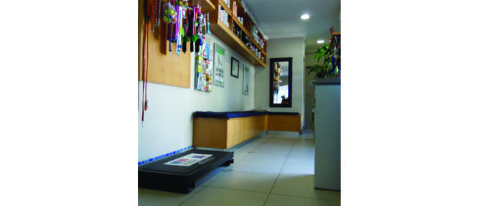 SandownVetClinic_SandtonRosebank8 SANDOWN VET CLINIC