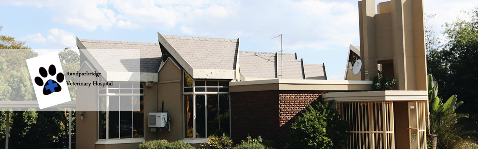 RANDPARKRIDGE VETERINARY HOSPITAL RANDPARKRIDGE VETERINARY HOSPITAL
