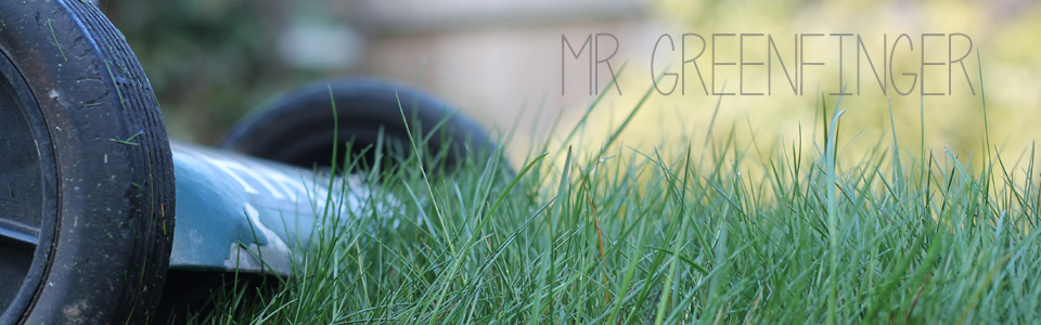 MR GREENFINGER mr greenfinger lawnmower repairs fourways sandton rivonia