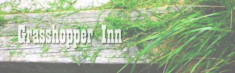 GRASSHOPPER INN grasshopper inn lawnmower repairs randburg rosebank