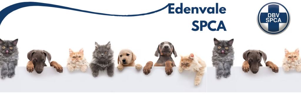 EDENVALE SPCA Edenvale SPCA